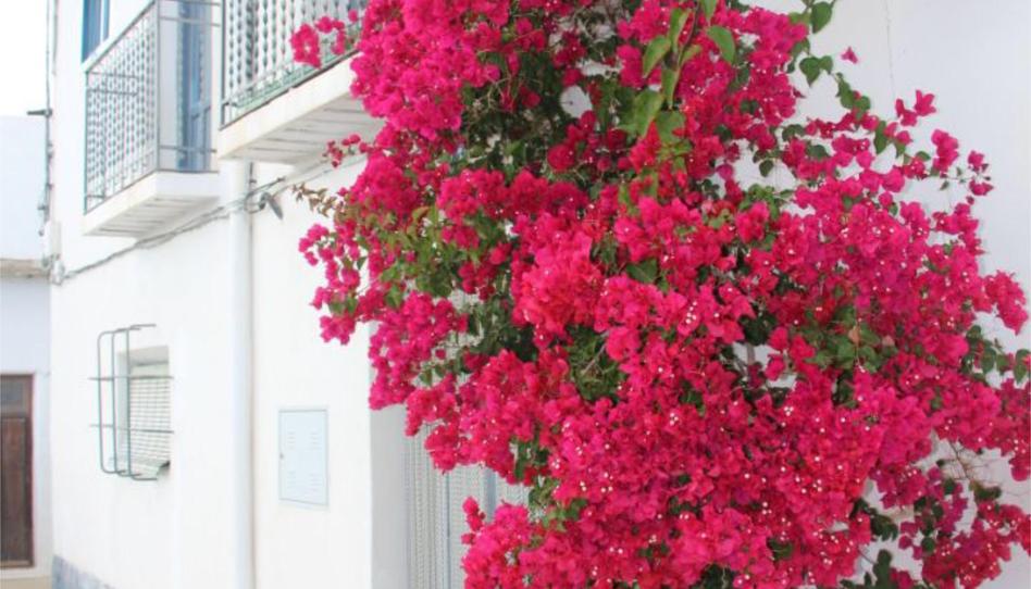 Photo 1 of Flat for sale in Calle San Anton. Ma, 32, Nevada, Granada