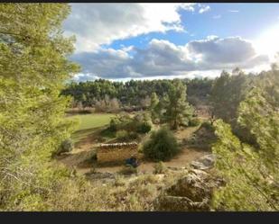 Jardí de Terreny en venda en Valdeltormo