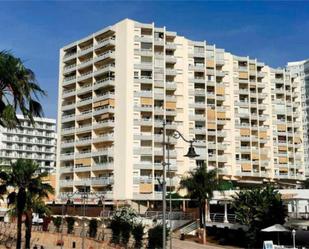 Apartment to rent in Puerto Marina