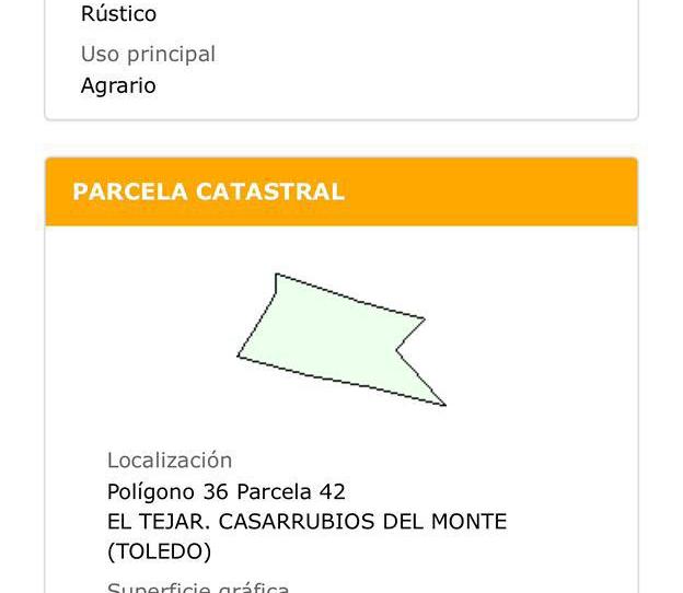 Foto 1 de No Urbanitzable en venda a Carretera Valmojado, 178, Casarrubios del Monte pueblo, Toledo