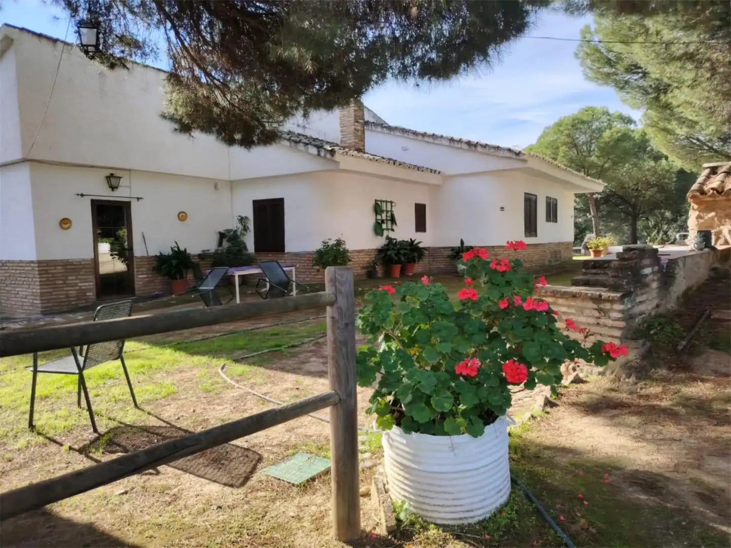 Houses for sale in Santuario Virgen de la Cabeza, 13, Andújar Garden of Houses for sale in Andújar with Terrace and Swimming Pool