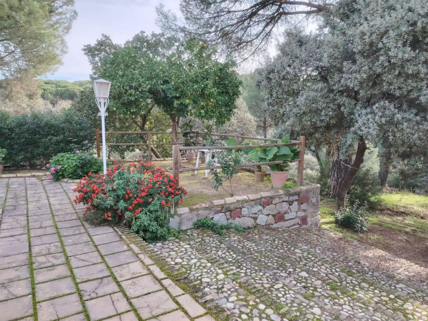Houses for sale in Santuario Virgen de la Cabeza, 13, Andújar Garden of Houses for sale in Andújar with Terrace and Swimming Pool