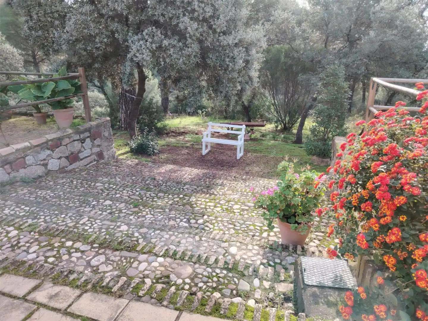 Houses for sale in Santuario Virgen de la Cabeza, 13, Andújar Garden of Houses for sale in Andújar with Terrace and Swimming Pool