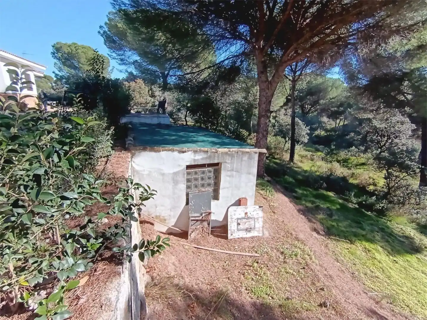 Houses for sale in Santuario Virgen de la Cabeza, 13, Andújar Exterior view of Houses for sale in Andújar with Terrace and Swimming Pool