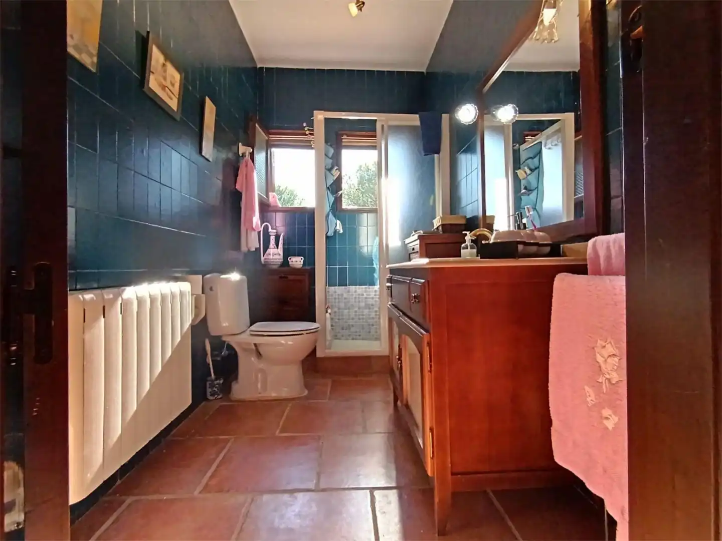 Houses for sale in Santuario Virgen de la Cabeza, 13, Andújar Bathroom of Houses for sale in Andújar with Terrace and Swimming Pool