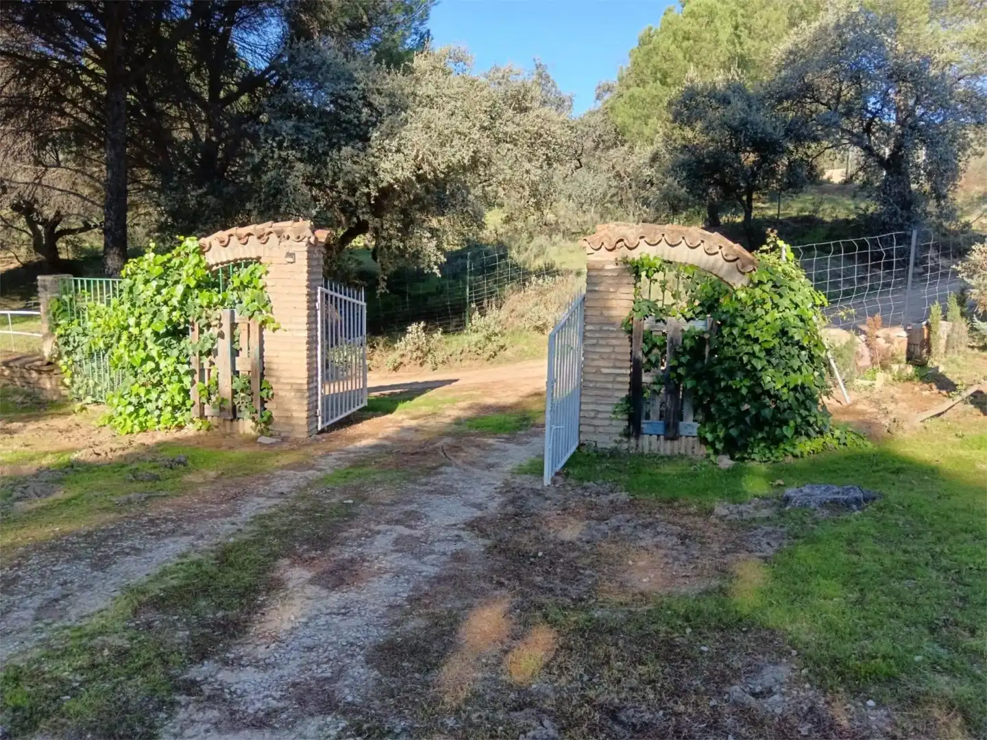 Houses for sale in Santuario Virgen de la Cabeza, 13, Andújar Garden of Houses for sale in Andújar with Terrace and Swimming Pool