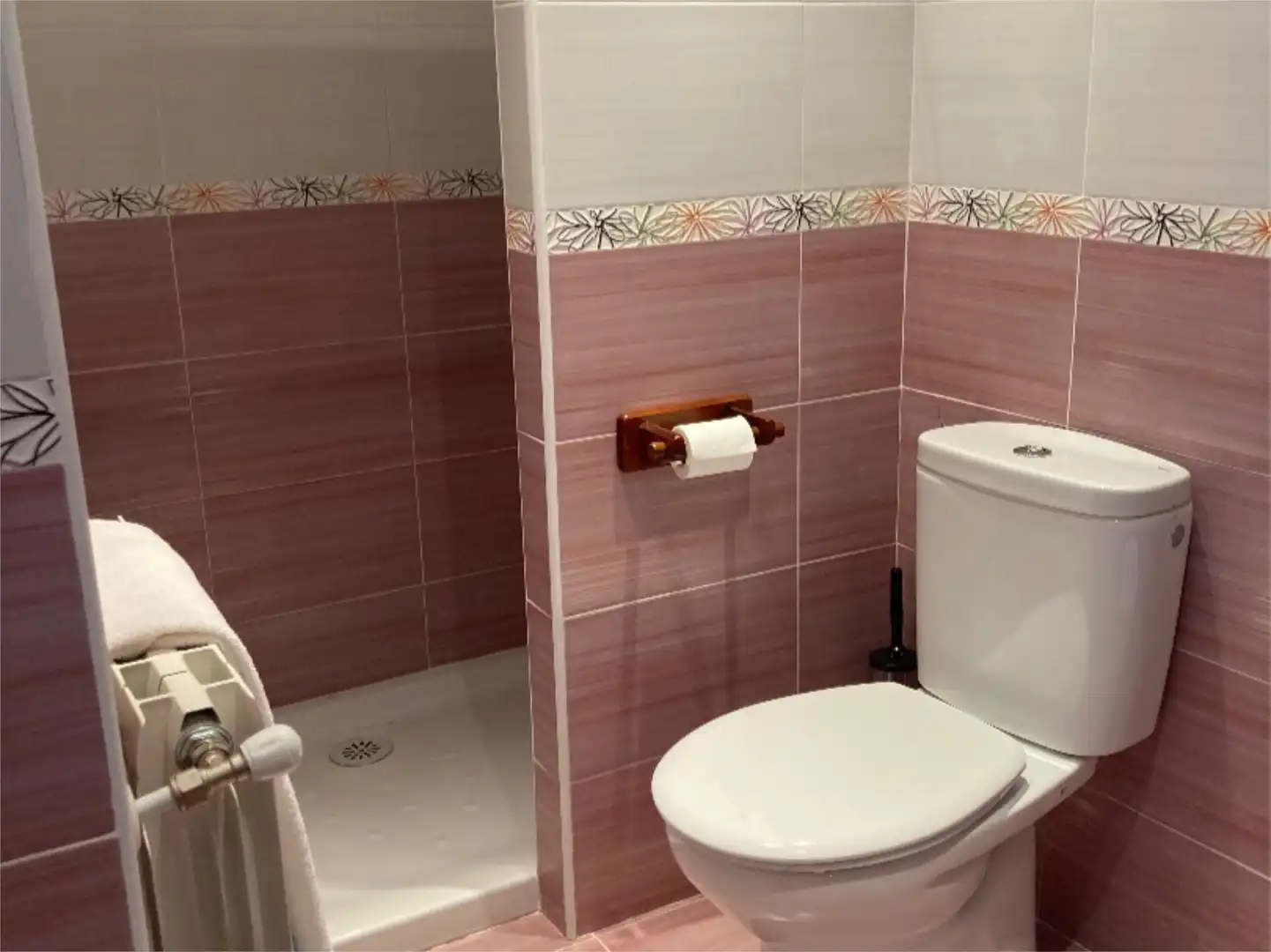 Bathroom of Detached homes for sale in Lagunilla  with Heating, Storage room and Balcony