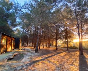 Jardí de Finca rústica en venda en El Perelló