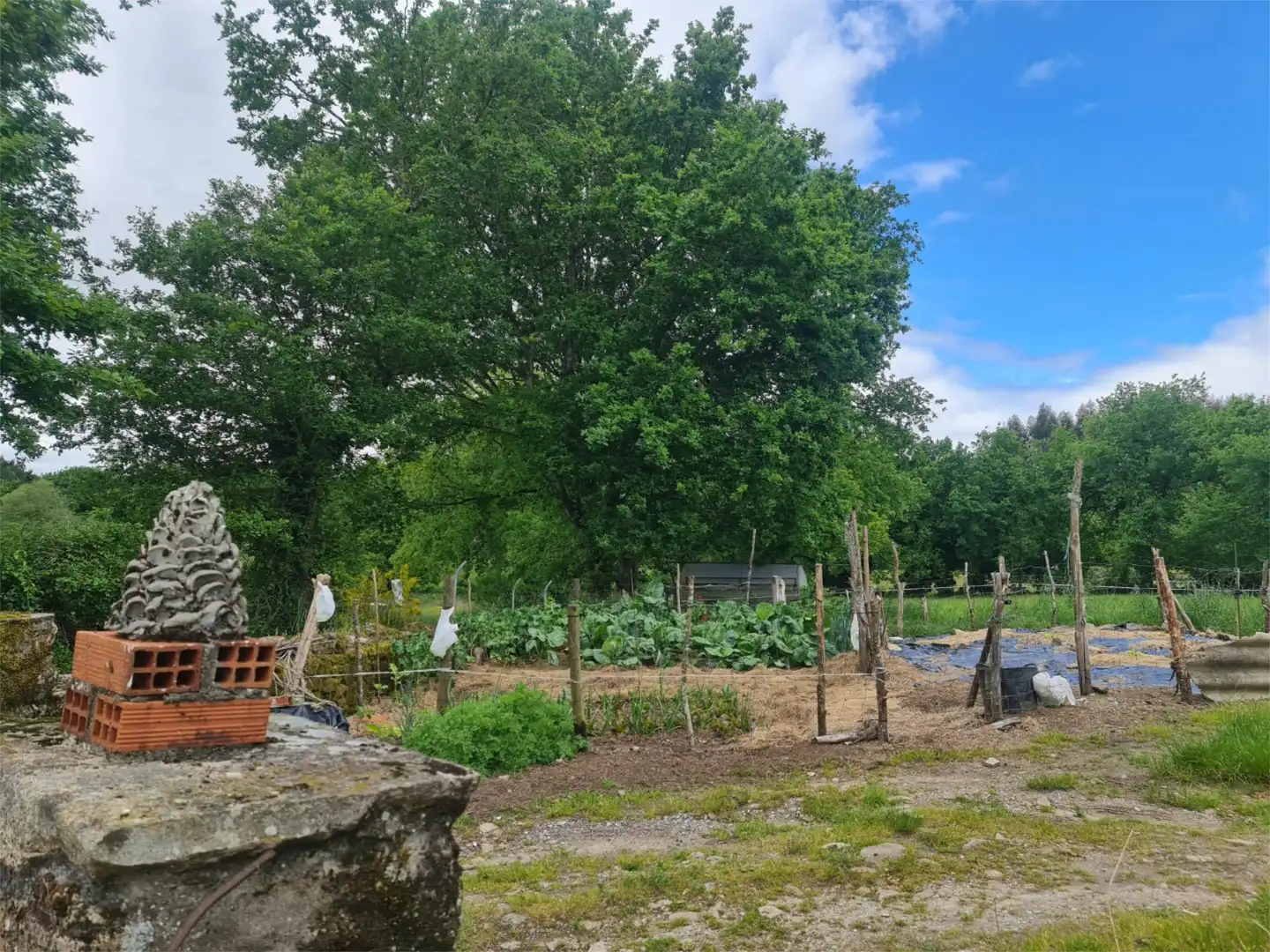 Jardín de Casa adosada en venta en Monterroso con Jardín privado, Amueblado y Lavadora
