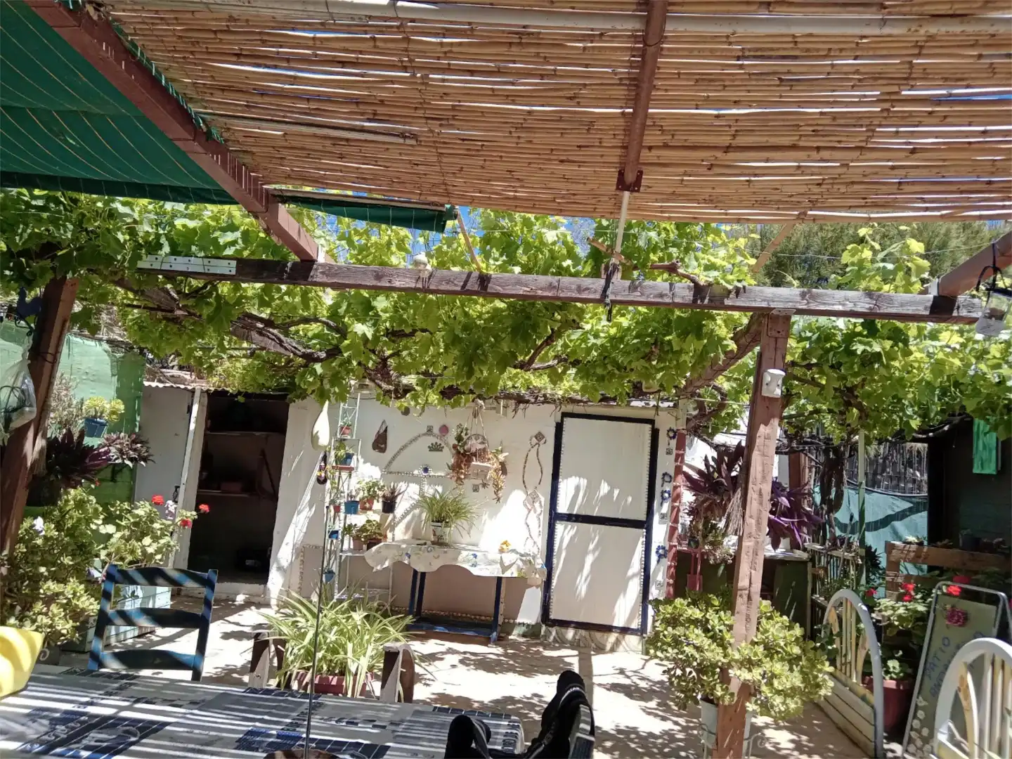 Jardí de Casa o xalet en venda en Adra