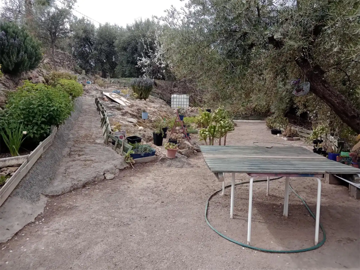 Jardí de Casa o xalet en venda en Alcolea amb Terrassa i Balcó