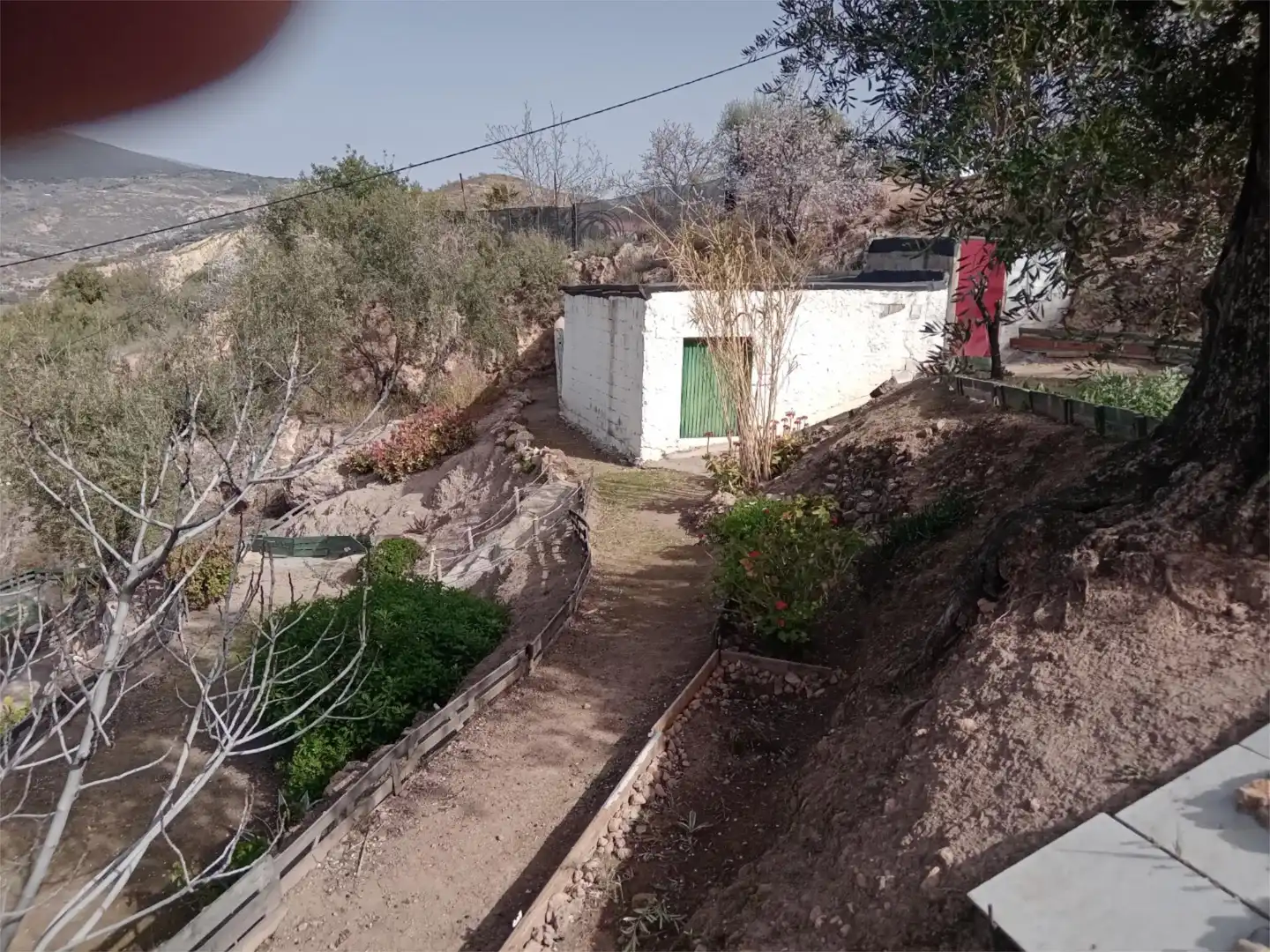 Jardí de Casa o xalet en venda en Alcolea amb Terrassa i Balcó