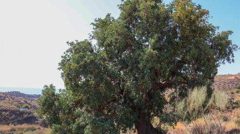 Foto 3 de Terreno en venta en Avenida del Golf, 7, Añoreta Golf - Paraíso del Sol, Rincón de la Victoria