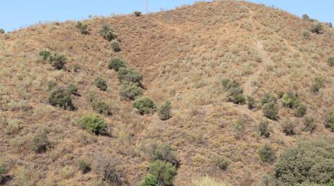 Foto 5 de Terreno en venta en Avenida del Golf, 7, Añoreta Golf - Paraíso del Sol, Rincón de la Victoria