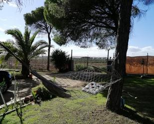 Jardí de Finca rústica en venda en Bonares amb Jardí privat, Terrassa i Traster