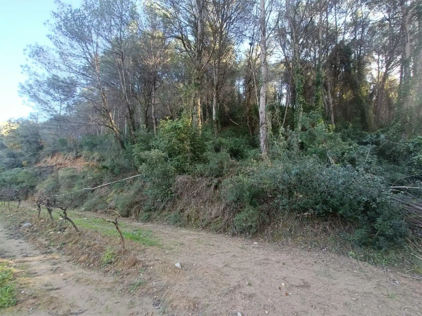 Country homes for sale in Esparreguera