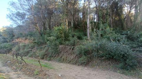 Country house for sale in B-231, 21, Nucli Urbà, Barcelona - image 4 Photo 4 of Country house for sale in B-231, 21, Nucli Urbà, Barcelona