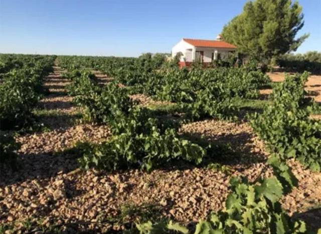 Terreno en Venta en CM-3130, 10 en Miguel Esteban