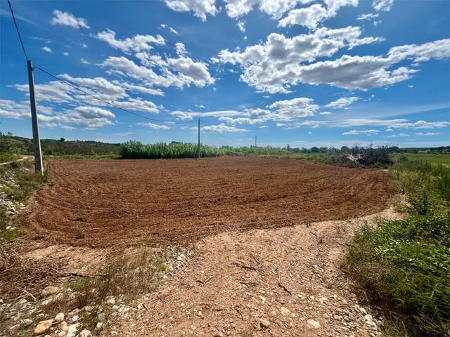 Terreno en Venta en Calle Quinze, 11 en Alcover