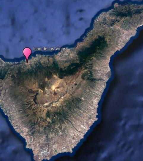 Constructible Land for sale in Avenida 25 de Abril, 35, Icod de los Vinos pueblo, Santa Cruz de Tenerife - image 2 Photo 2 of Constructible Land for sale in Avenida 25 de Abril, 35, Icod de los Vinos pueblo, Santa Cruz de Tenerife