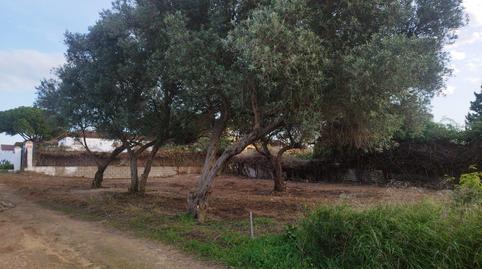 Photo 4 of Country house for sale in Diseminado Arquillos, 6, Villanueva Golf, Cádiz