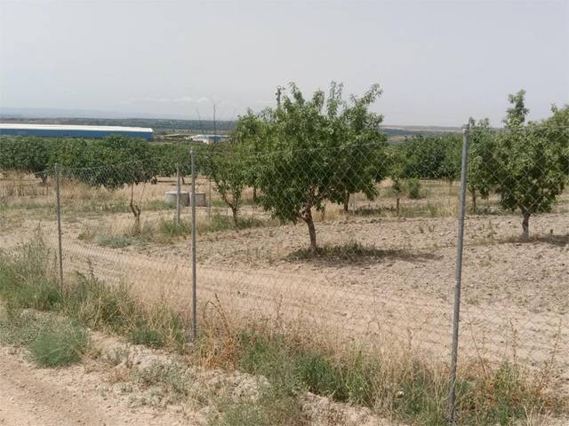 Terreno en Venta en Calle Herrador, 13 en Cebolla