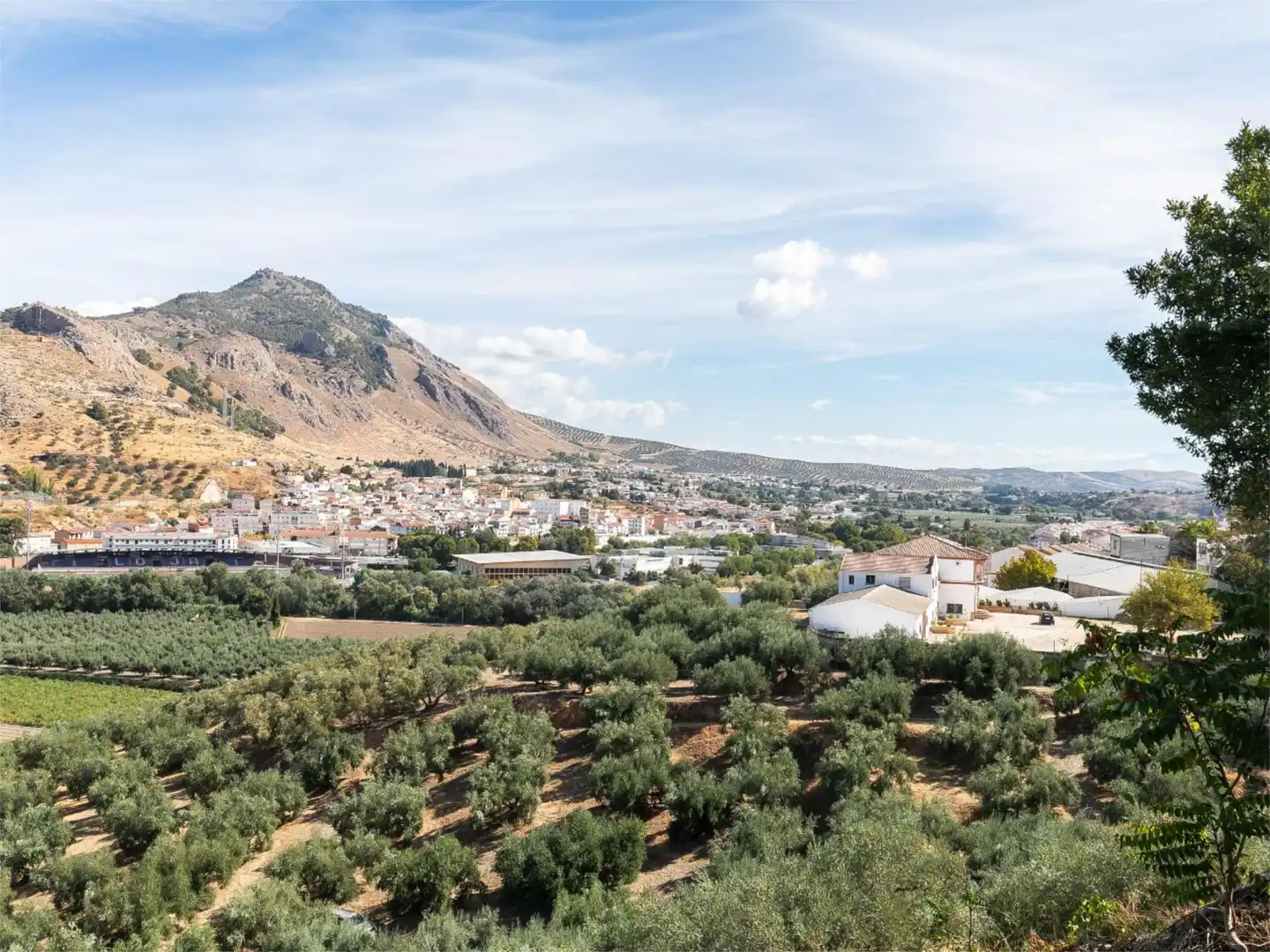 Fabrikhallen zur Miete in Avenida Andalucía, 1, Loja Außenansicht von Fabrikhallen zur Miete in Loja mit Klimaanlage und Heizung