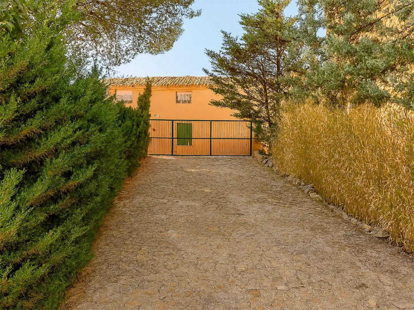 Vista exterior de Casa o chalet en venta en Corral-Rubio con Calefacción, Jardín privado y Terraza