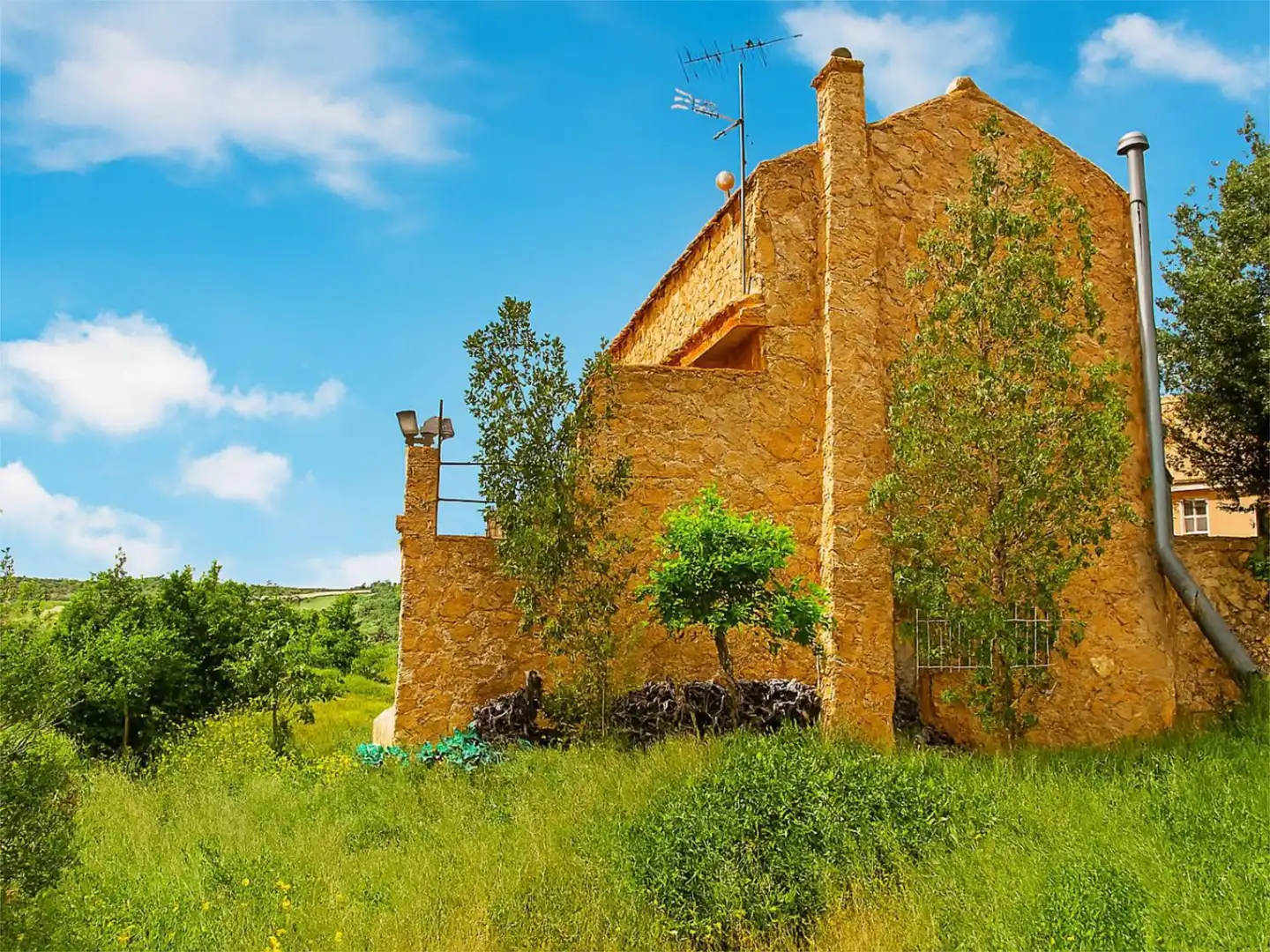 Vista exterior de Casa o chalet en venta en Corral-Rubio con Calefacción, Jardín privado y Terraza