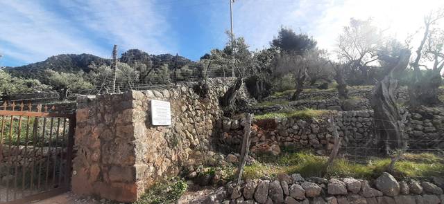 Terreno en Venta en Diseminado Sector Numero 1, 14 en Fornalutx