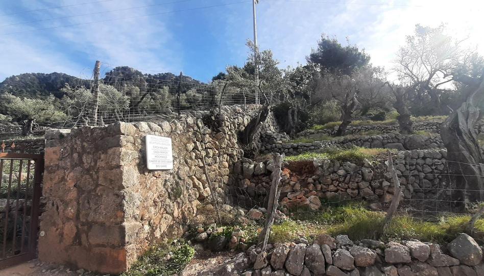 Photo 1 of Land for sale in Diseminado Sector Numero 1, 14, Fornalutx, Illes Balears