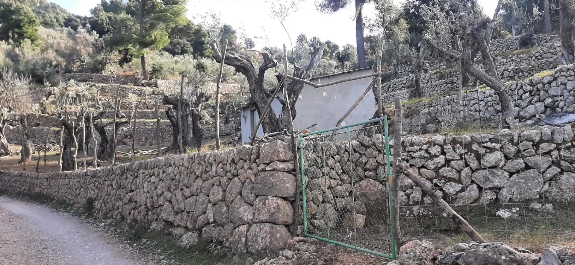 Garten von Grundstücke zum Verkauf in Fornalutx