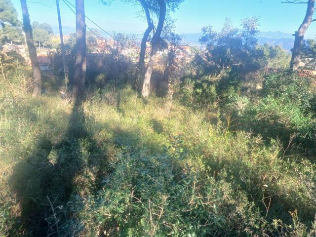 Terreno residencial en Venta en Carrer Joan Miró, 525 en La Torre de Claramunt