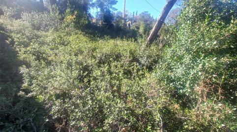 Foto 4 de Residencial en venda a Carrer Joan Miró, 525, La Torre de Claramunt, Barcelona