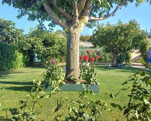 Jardí de Finca rústica en venda en Noáin (Valle de Elorz) / Noain (Elortzibar) amb Piscina