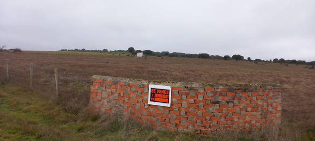 Terreno en Venta en Calle Plajona, 9 en Pedrosillo de los Aires