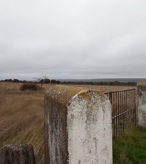 Terreno en venta en Calle Plajona, 9, Pedrosillo de los Aires, Salamanca - imagen 2 Foto 2 de Terreno en venta en Calle Plajona, 9, Pedrosillo de los Aires, Salamanca