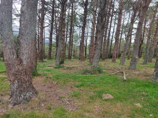 Terreno en Venta en LU-P-2901, 10 en Palas de Rei