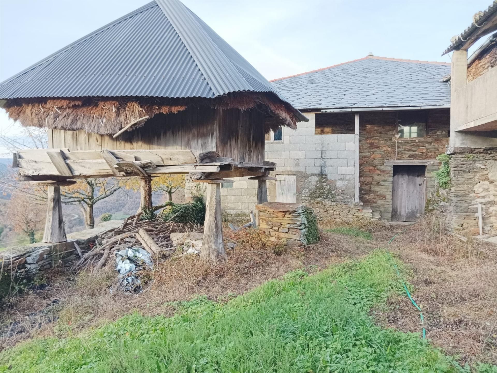Vista exterior de Casa o xalet en venda en Navia de Suarna