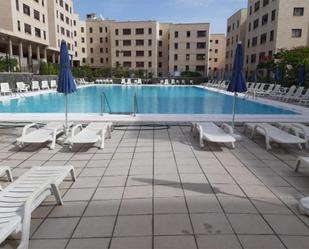 Swimming pool of Flat to rent in Las Palmas de Gran Canaria