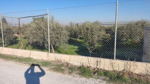 Terreno en venta en Camino del Molino, 30, Híjar, Las Gabias - imagen 2 Foto 2 de Terreno en venta en Camino del Molino, 30, Híjar, Las Gabias