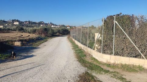 Terreno en venta en Camino del Molino, 30, Híjar, Las Gabias - imagen 3 Foto 3 de Terreno en venta en Camino del Molino, 30, Híjar, Las Gabias