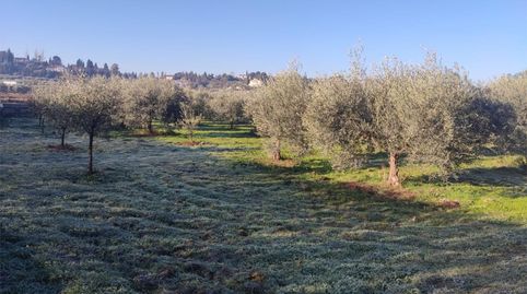 Terreno en venta en Camino del Molino, 30, Híjar, Las Gabias - imagen 5 Foto 5 de Terreno en venta en Camino del Molino, 30, Híjar, Las Gabias