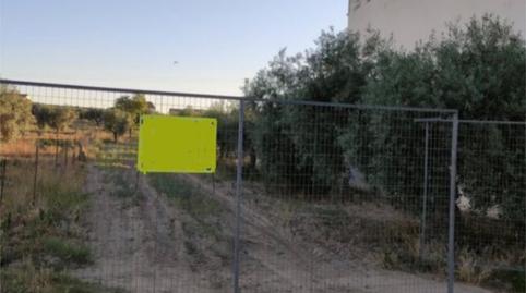 Photo 3 of Flat for sale in Camino de Zalamea, 127, Quintana de la Serena, Badajoz