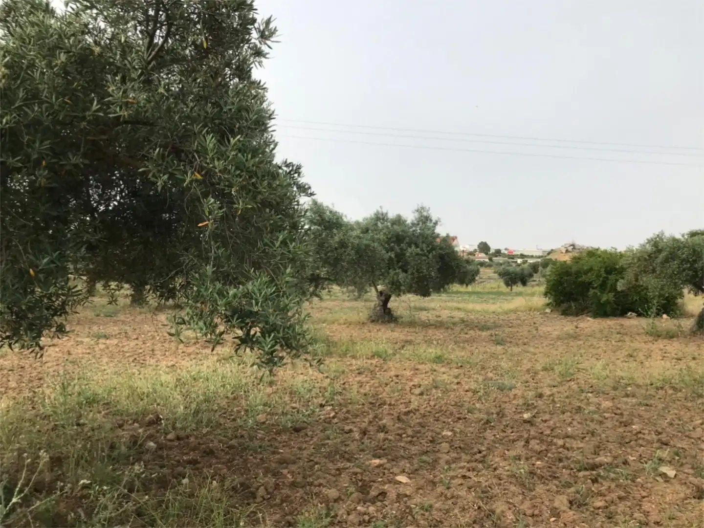 Flat for sale in Camino de Zalamea, 127, Quintana de la Serena Flat for sale in Quintana de la Serena with Private garden