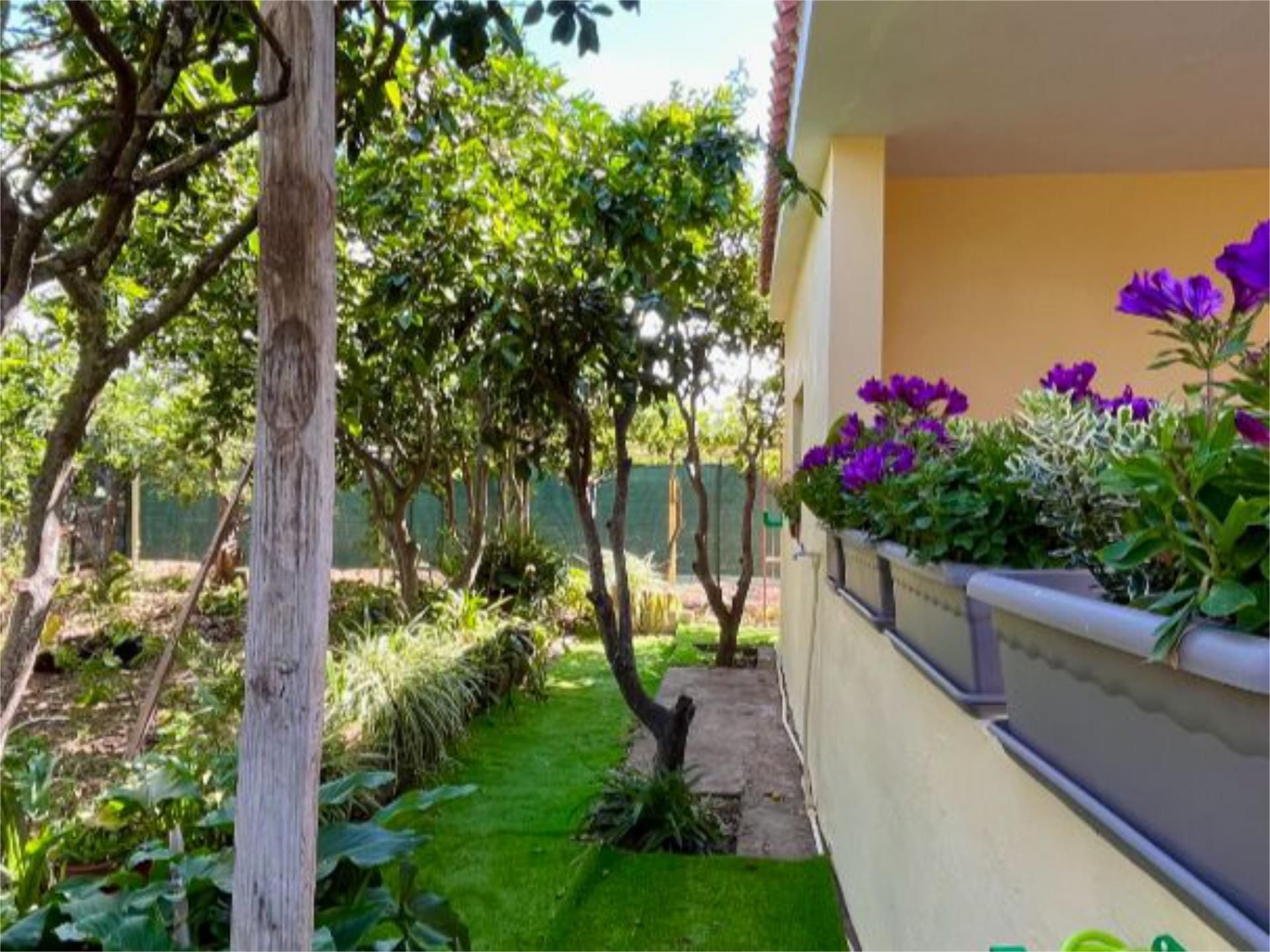 Jardí de Pis de lloguer en Vega de San Mateo amb Jardí privat i Moblat