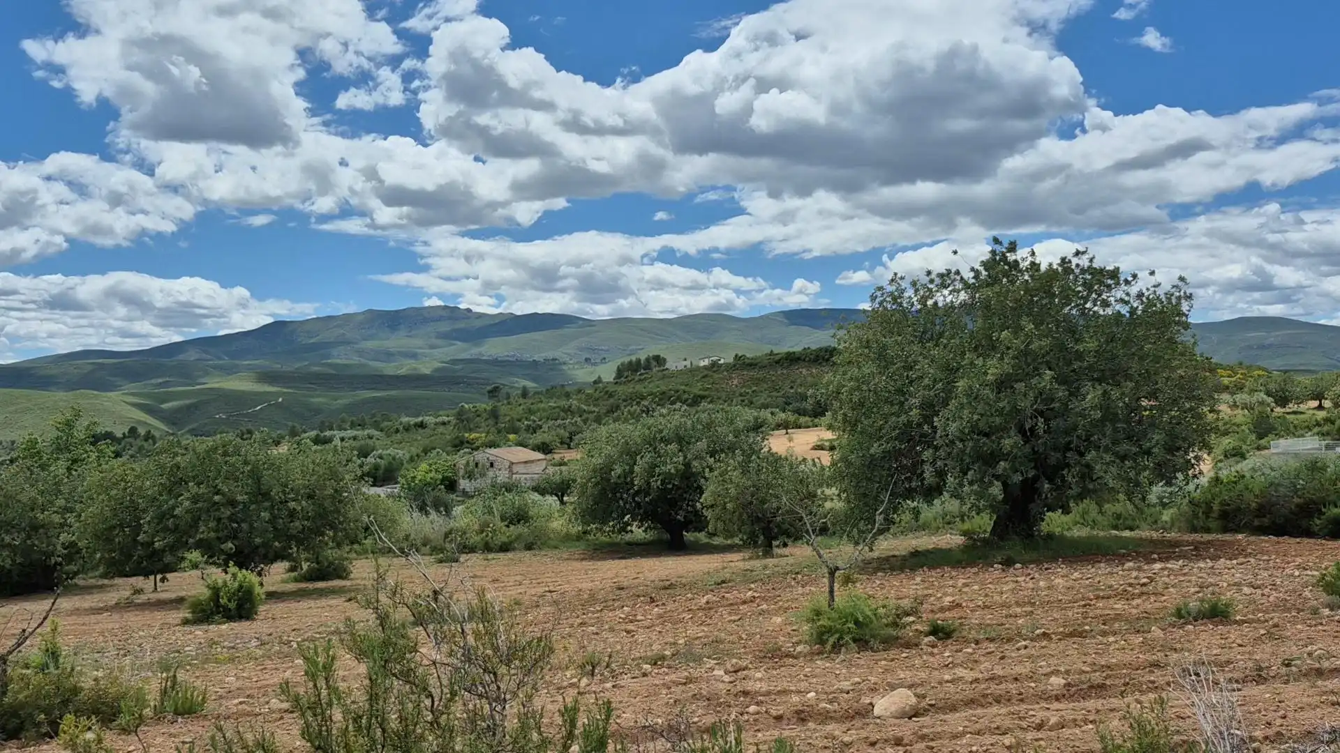 Constructible Land for sale in Macastre