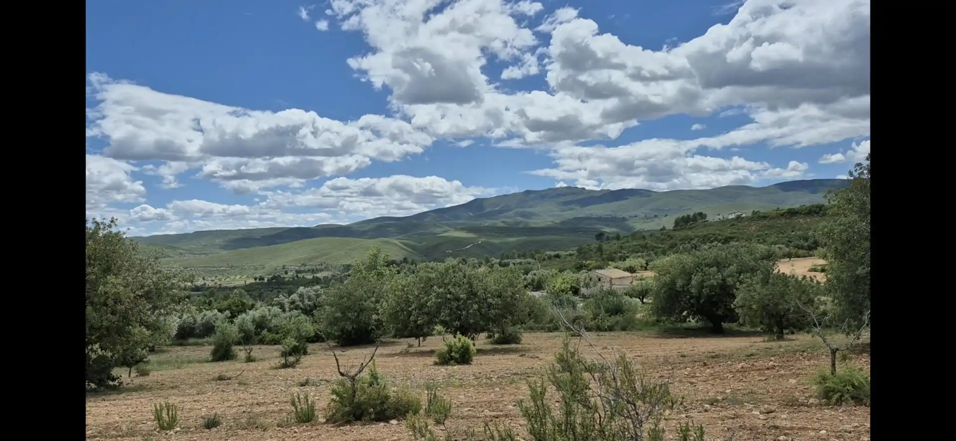 Constructible Land for sale in Macastre