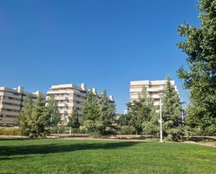 Vista exterior de Pis de lloguer en  Granada Capital amb Calefacció, Jardí privat i Parquet