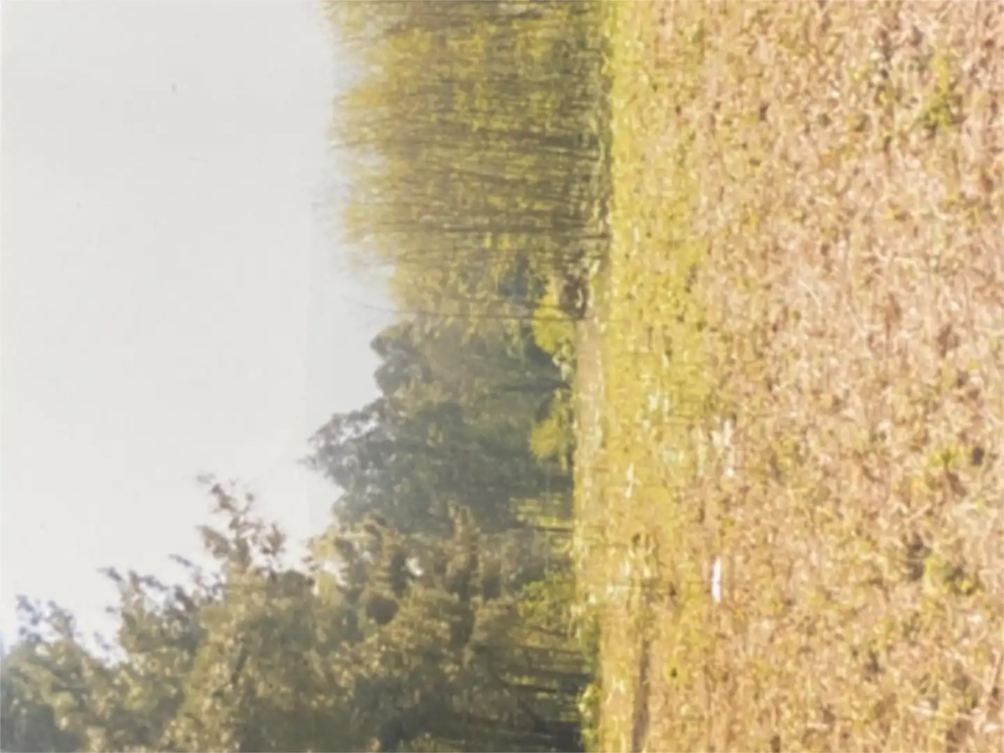 Constructible Land for sale in Aldea Outeiro, 9, Miño Constructible Land for sale in Miño